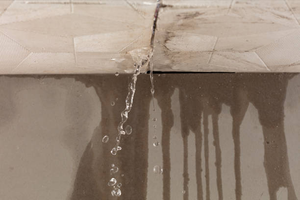 Professional Structural Drying technician working in Layland, WV